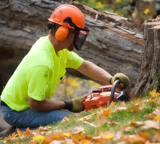 tree services St. Charles